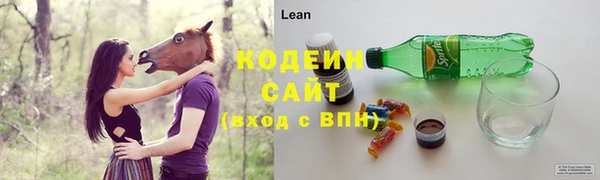 гашик Вязьма