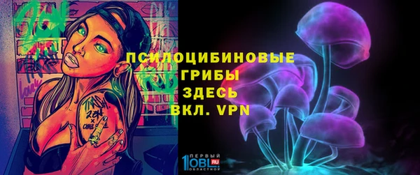 гашик Вязьма
