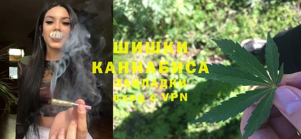 гашик Вязьма