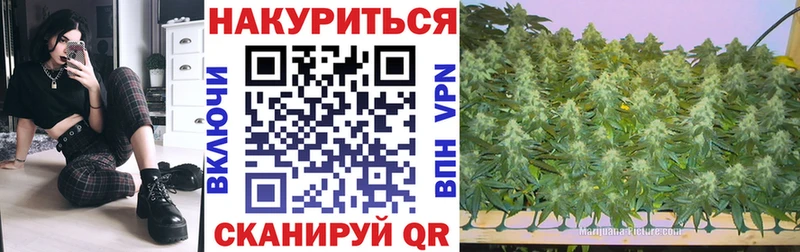 Канабис планчик  Емва 